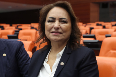 Dr. Şevkin: Sınır ötesindeki Aleviler için adım atılmalı