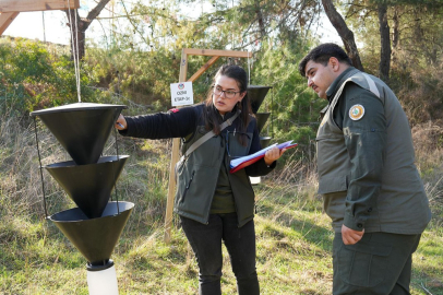 Adana'daki Ormancılık Olimpiyatları sona erdi