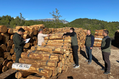 Adana Orman Bölge Müdürü Tahsin Etli'den orman emvalleri denetimi