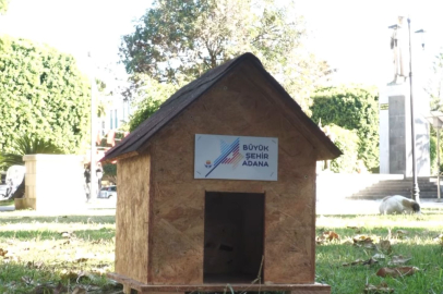 Adana’da sokak hayvanları için caddelere kulübe bırakıldı