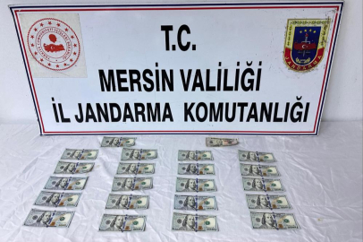 Mersin'de sahte dolar operasyonu!