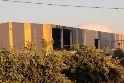 Adana’da çöplükte yeni doğmuş bebek cesedi bulundu