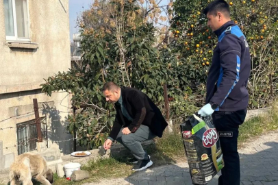 Yumurtalık Belediyesi sokak hayvanlarını unutmadı