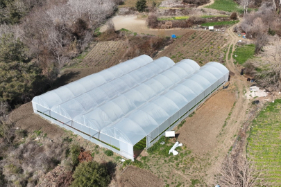 Osmaniye'de 2 genç kardeş devletten aldıkları hibe desteğiyle kurdukları serada üretim yapıyor