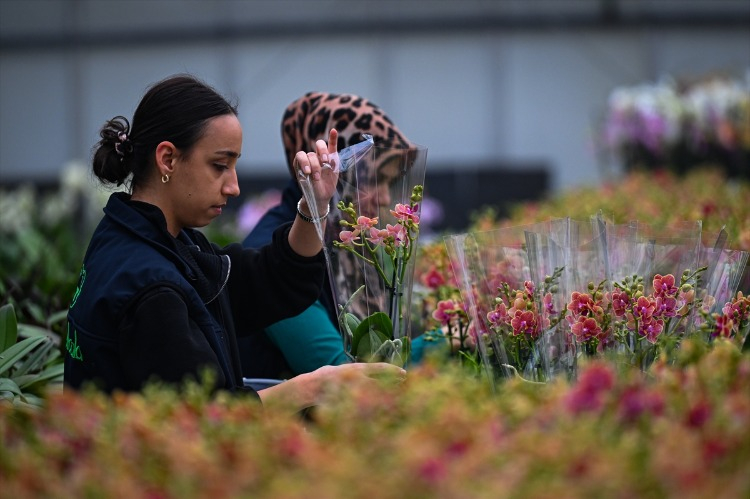 Sevgililer Günü İçin En Popüler Çiçekler