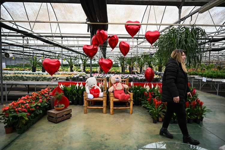 Çiçek, Ruhun Gıdası