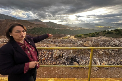 Şevkin: Yabancı şirketler Türkiye'ye sadece çöp ve çevre felaketi bırakıyor