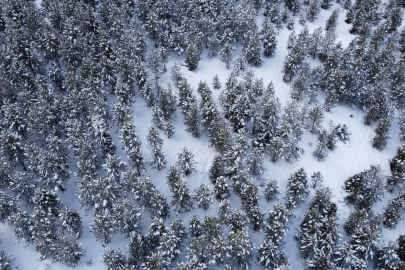 Adana'da yoğun kar yağışı!
