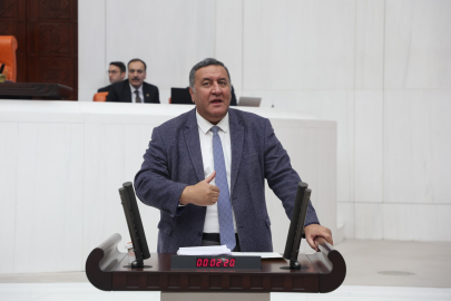 Gürer: Türkiye’nin tarım sektöründeki denetim eksiklikleri halk sağlığını tehdit ediyor