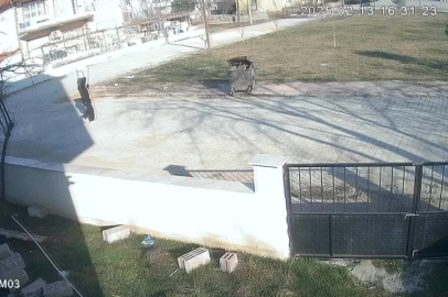 Denizli'de çöp konteynerine terk edilen köpek, şok edici görüntülerle ortaya çıktı!