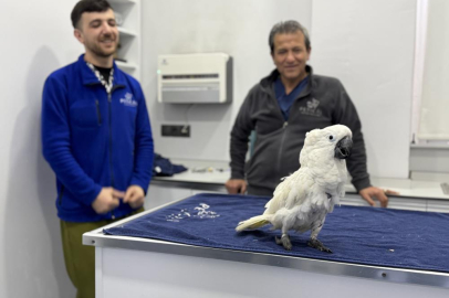 Mersin'de papağanla dans eden veterinerler sosyal medyada viral oldu