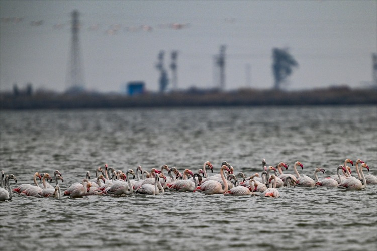 Doğa Koruma ve Milli Parklar Yetkililerinden Açıklamalar