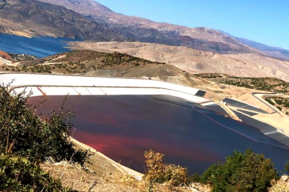 Erzincan İliç’teki altın madeni davasında Danıştay’dan kritik karar
