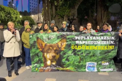 Adana’da hayvanseverler Necla Teyze için adalet çağrısında bulundu