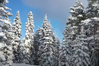 Kastamonu'da kar yağışının ardından beyaza bürünen Ballıdağ büyüleyici manzarasıyla hayran bırakıyor