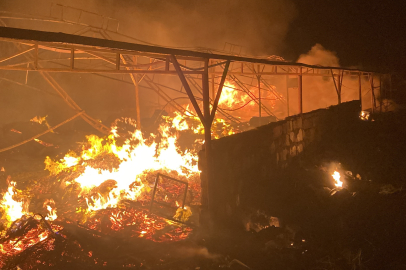 Mersin'de çiftlikte çıkan yangın 4 saatlik mücadele sonunda söndürüldü