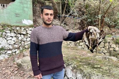  İskenderun’da avcı kuşu şahin, balık havuzunda telef oldu