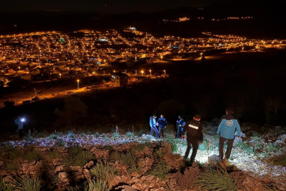 Kozan'da kayıp epilepsi hastası kadın zeytin ağacı altında bulundu