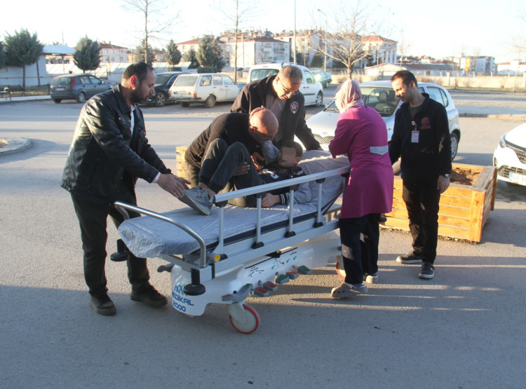 konya sokak köpeği