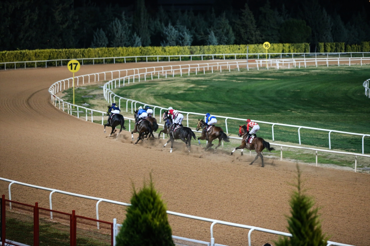 Türkiye Jokey Kulübü