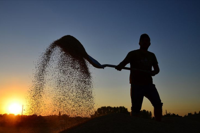 Tarım ve Orman Bakanlığı'ndan çiftçilere mazot ve gübre desteği ödemeleri: Mart ayı desteği ne zaman yatırılacak?