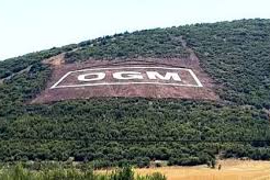 OGM işçi alımı kura tarihi belli oluyor! OGM işçi alımı kura tarihi ne zaman açıklanacak?