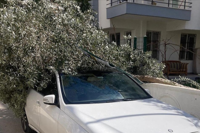 Antalya'da kuvvetli rüzgar etkili oldu