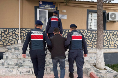 Mersin'de 16 küçükbaş hayvan çalan şüpheli tutuklandı