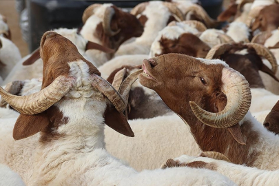 2025 Kurban Bayramı ne zaman? Kurban Bayramı tatili kaç gün?