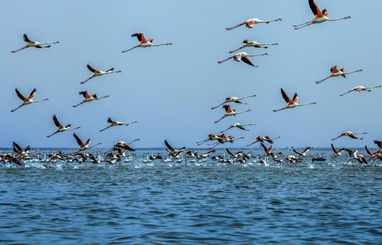 Adana'nın Göz Kamaştıran Doğal Güzellikleri