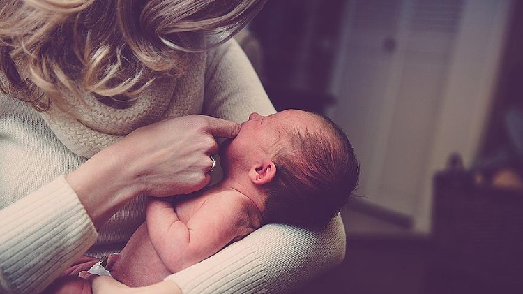 Başvuru Şartları nelerdir?