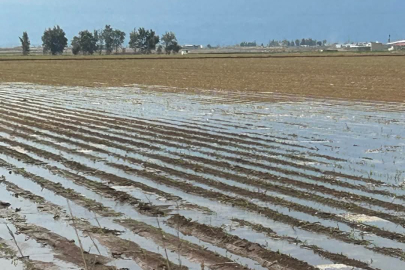 Kuraklık Alarmı: Amik Ovası çiftçileri için kritik uyarı