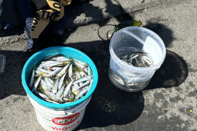 Galata Köprüsü’nde bayram bereketi: Olta balıkçıları köprüyü doldurdu!