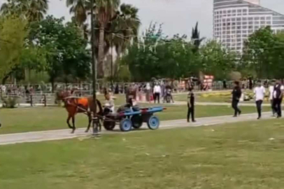 Adana Merkez Park’taki atların yarattığı risk, çocuklu aileleri tedirgin ediyor