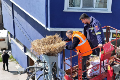 15 yıllık leylek yuvasını “Çevreyi Kirletiyor” diye kaldırdılar, belediye müdahale etti, esnafa tutanak tutuldu