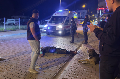 Antalya’da sokak köpeği, baygın haldeki İbrahim Y.'nin başından bir an olsun ayrılmadı