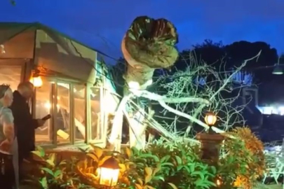 Tarsus’ta asırlık ağaç devrildi: 1’i çocuk 2 kişi hafif yaralandı