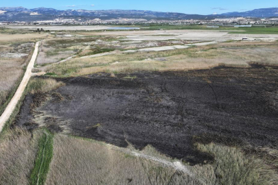 Göksu Deltası'ndaki yangına çevreciler sessiz kalmadı
