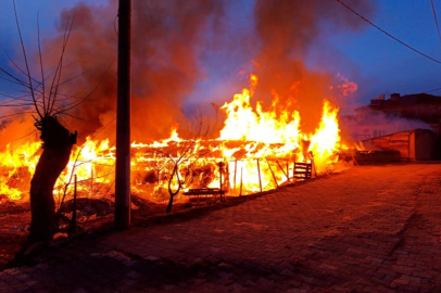 Bursa'da bir köye panik yaşatan yangın