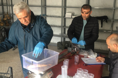 Eskişehir’de istilacı türler yerel ekosistemi tehdit ediyor