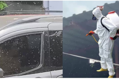 Adana’da sinek sorunu start verdi! Vatandaşlar ilaçlama talep ediyor