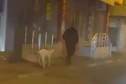 Bursa sokaklarında şaşırtan görüntü: Ne kedi ne köpek! kuzusunu gezintiye çıkardı, görenler şaştı kaldı