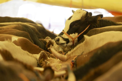 2025 Kurban Bayramı ne zaman? Bayrama kaç gün kaldı?