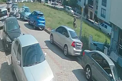 Aydın'da sınava giden öğrenciye köpek saldırdı