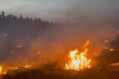 Denizli’de  Orman Yangını 2 Saatte Kontrol Altına Alındı