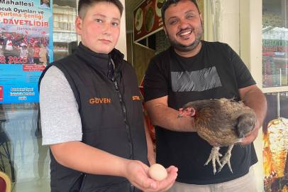 Tavuk dönerciye giren tavuk yumurtladı!