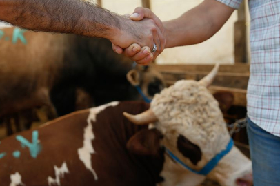 Kurban Bayramı 2025 ne zaman? İşte tarihleri, tatil süresi ve merak edilen detaylar