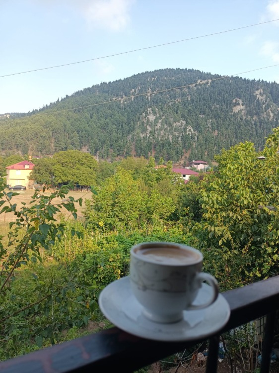 DOĞAYLA BAŞ BAŞA: ALADAĞ YAYLASI