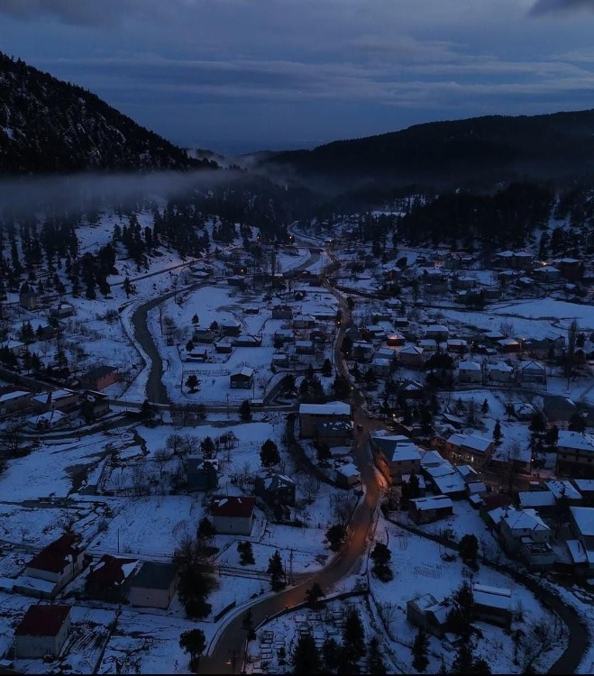 ARDIÇ VE SEDİR AĞAÇLARI ARASINDA SERİN BİR NEFES