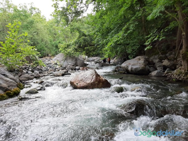 Karaçay Mesire Alanı ve Karaçay Şelalesi